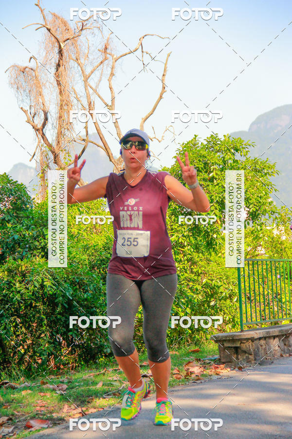 Buy your photos of the eventVelox Run on Fotop