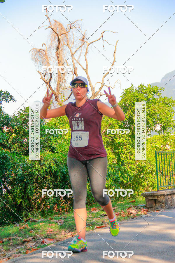 Buy your photos of the eventVelox Run on Fotop