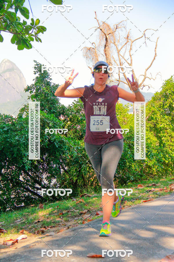 Buy your photos of the eventVelox Run on Fotop