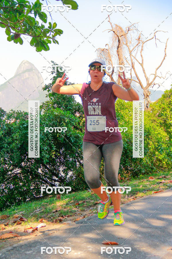 Buy your photos of the eventVelox Run on Fotop