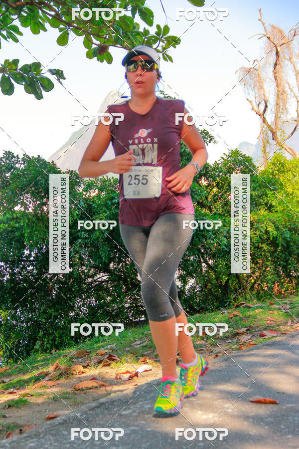 Buy your photos of the eventVelox Run on Fotop