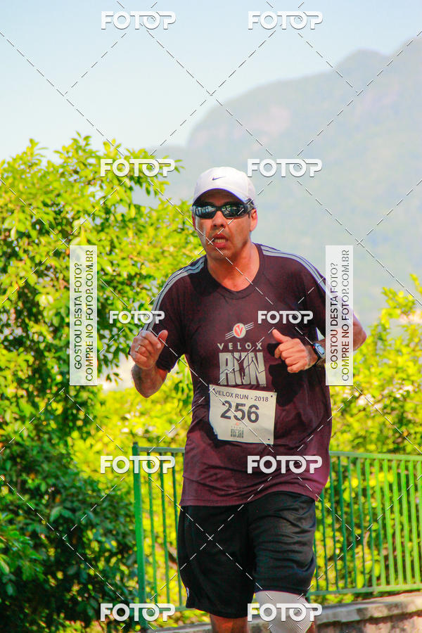 Buy your photos of the eventVelox Run on Fotop