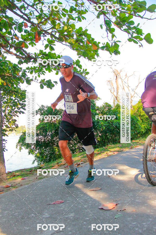 Buy your photos of the eventVelox Run on Fotop