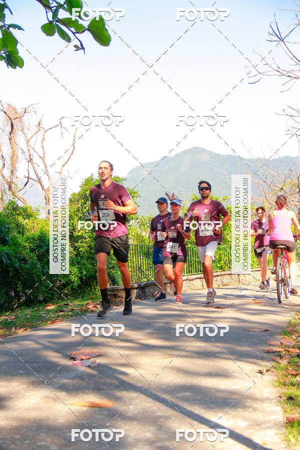 Buy your photos of the eventVelox Run on Fotop