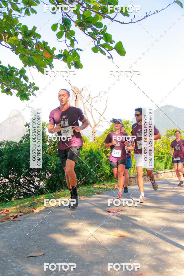 Buy your photos of the eventVelox Run on Fotop