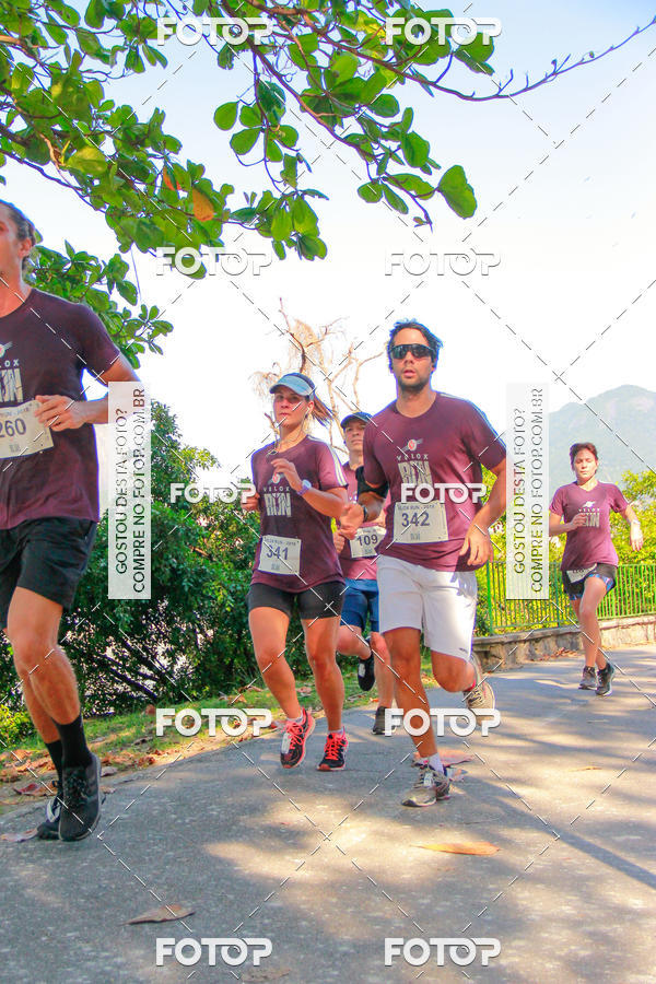 Buy your photos of the eventVelox Run on Fotop