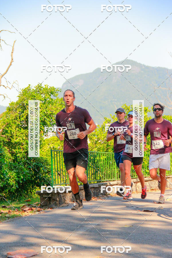 Buy your photos of the eventVelox Run on Fotop