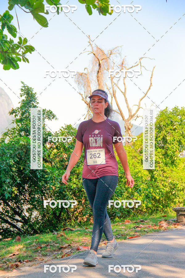 Buy your photos of the eventVelox Run on Fotop