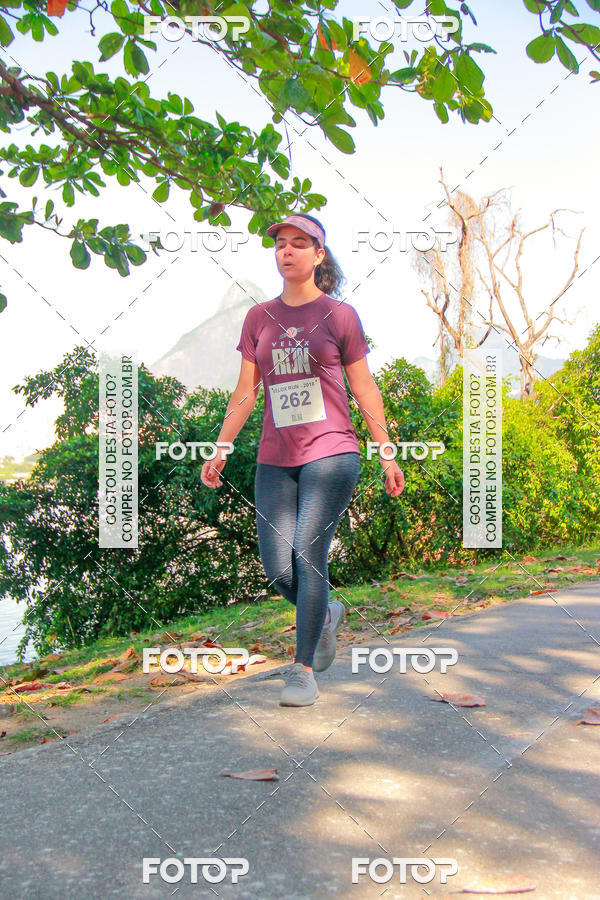 Buy your photos of the eventVelox Run on Fotop