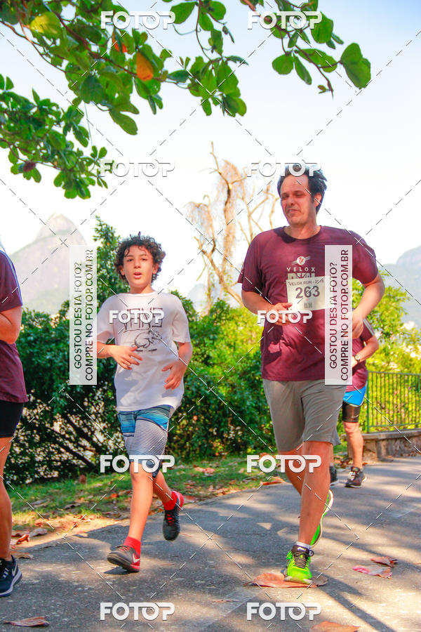 Buy your photos of the eventVelox Run on Fotop