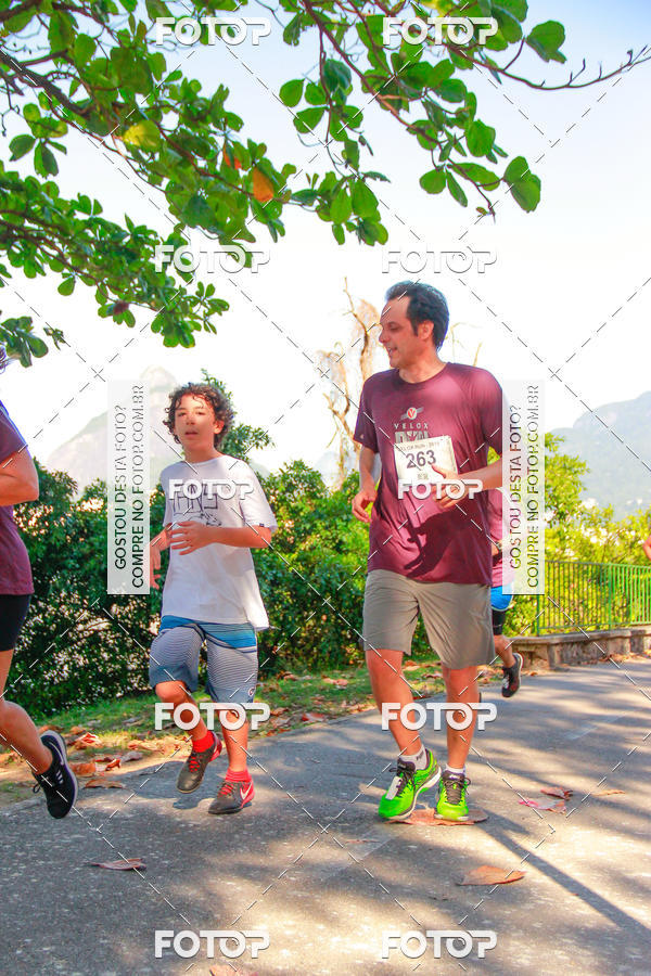 Buy your photos of the eventVelox Run on Fotop