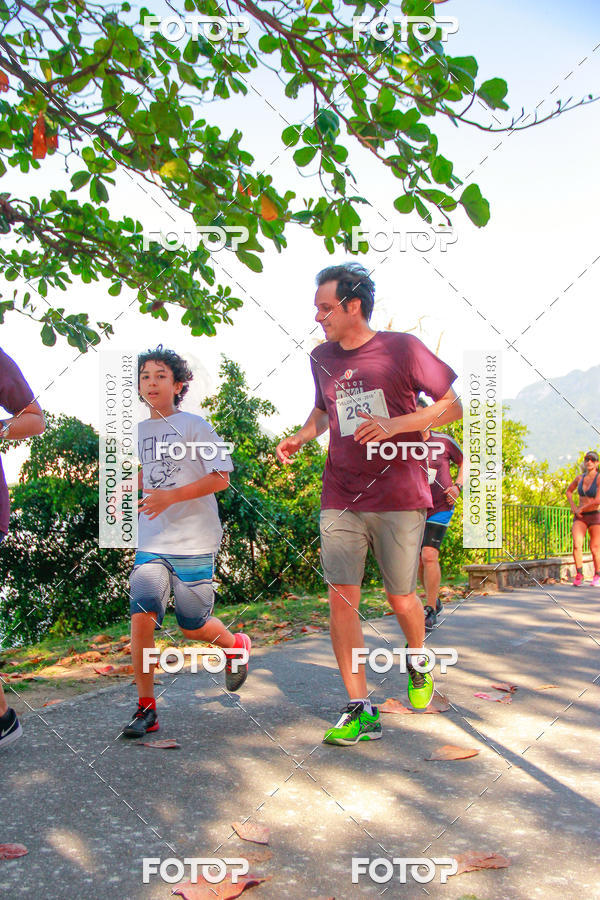 Buy your photos of the eventVelox Run on Fotop