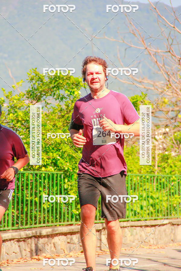 Buy your photos of the eventVelox Run on Fotop