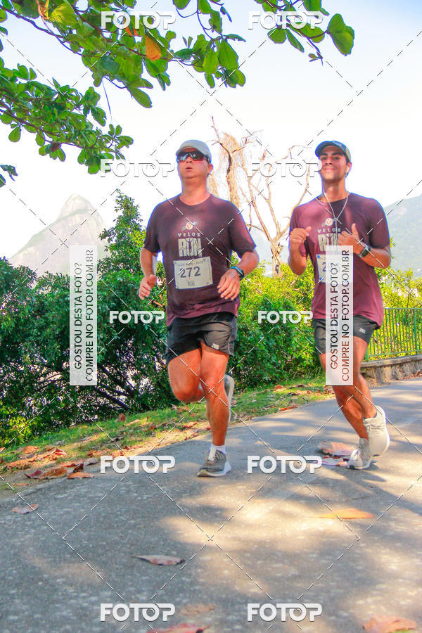 Buy your photos of the eventVelox Run on Fotop