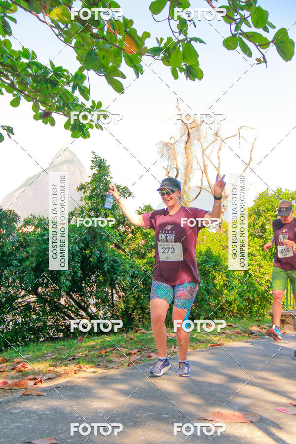 Buy your photos of the eventVelox Run on Fotop