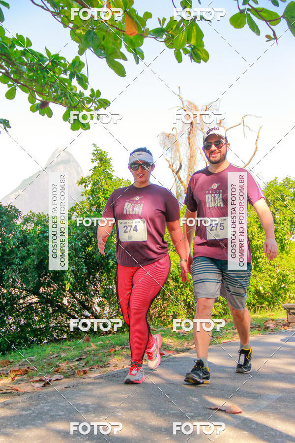 Buy your photos of the eventVelox Run on Fotop