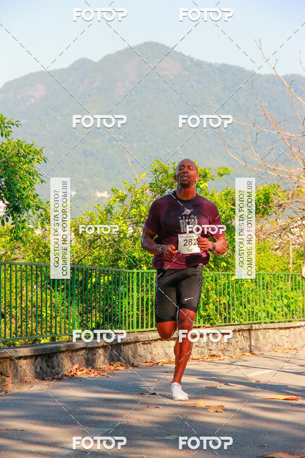 Buy your photos of the eventVelox Run on Fotop