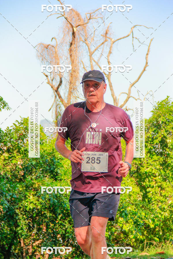 Buy your photos of the eventVelox Run on Fotop