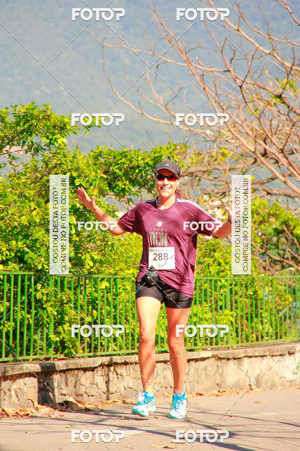 Buy your photos of the eventVelox Run on Fotop