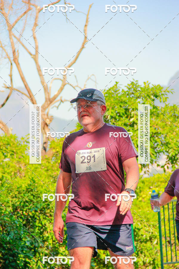 Buy your photos of the eventVelox Run on Fotop