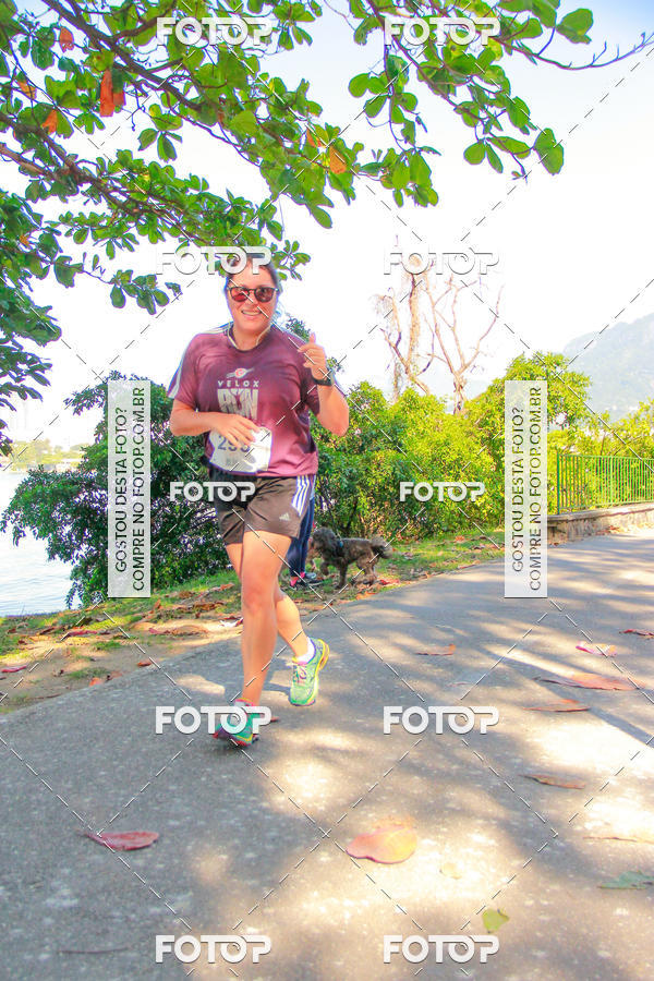Buy your photos of the eventVelox Run on Fotop