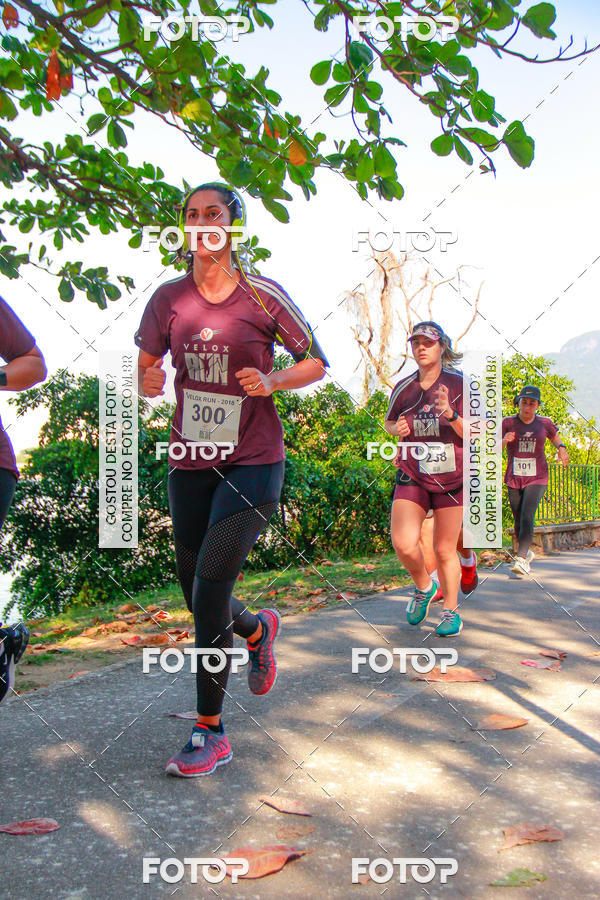 Buy your photos of the eventVelox Run on Fotop