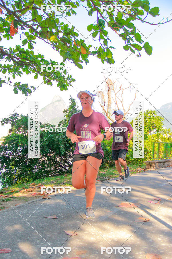 Buy your photos of the eventVelox Run on Fotop