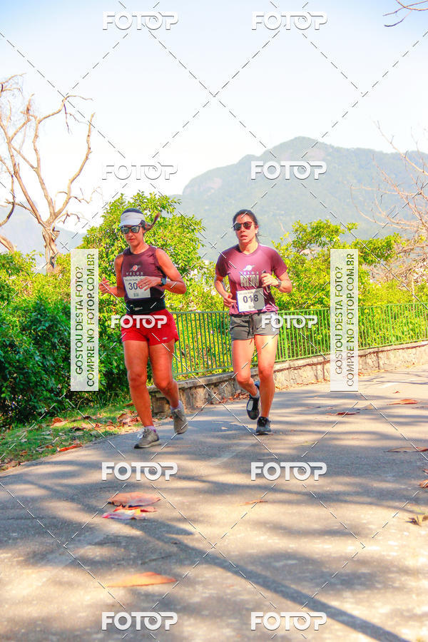 Buy your photos of the eventVelox Run on Fotop