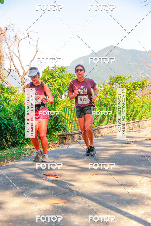 Buy your photos of the eventVelox Run on Fotop