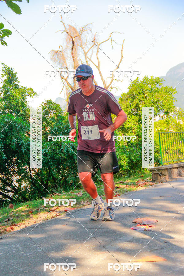 Buy your photos of the eventVelox Run on Fotop