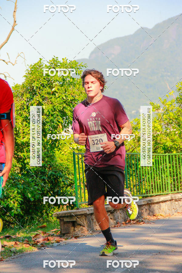 Buy your photos of the eventVelox Run on Fotop