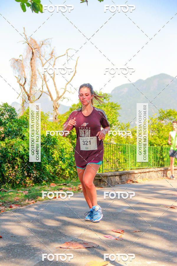 Buy your photos of the eventVelox Run on Fotop