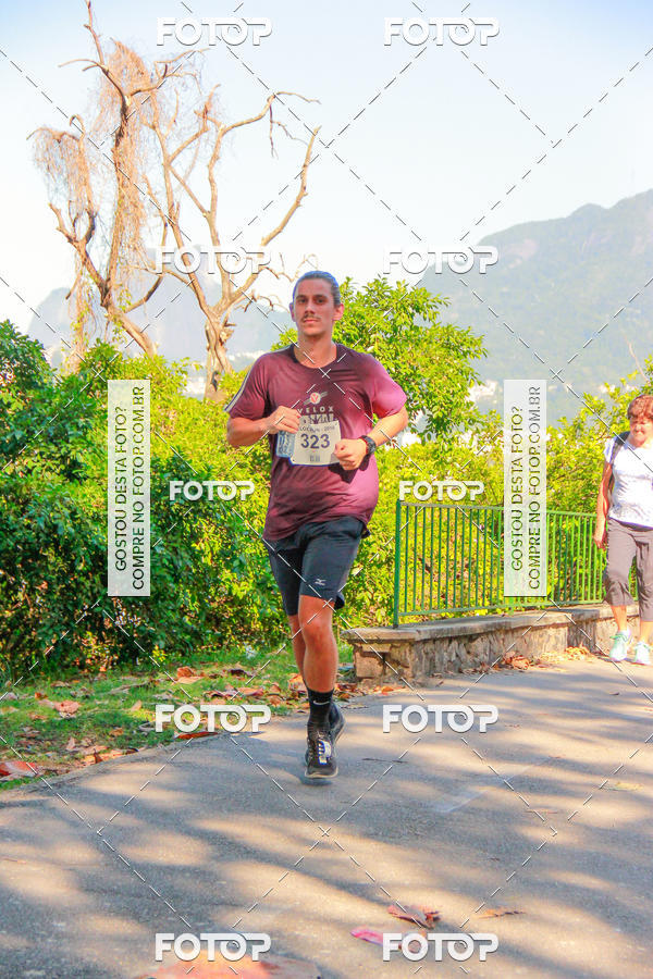 Buy your photos of the eventVelox Run on Fotop