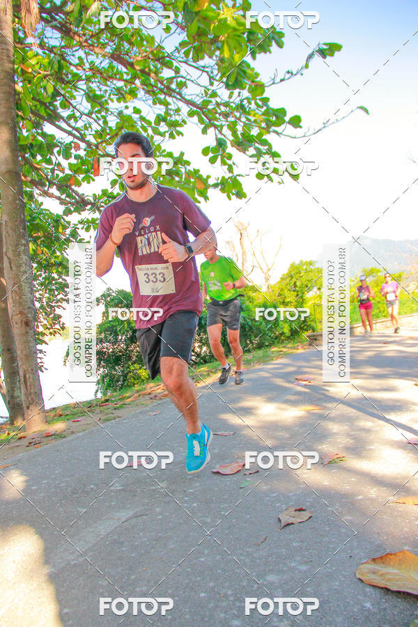 Buy your photos of the eventVelox Run on Fotop