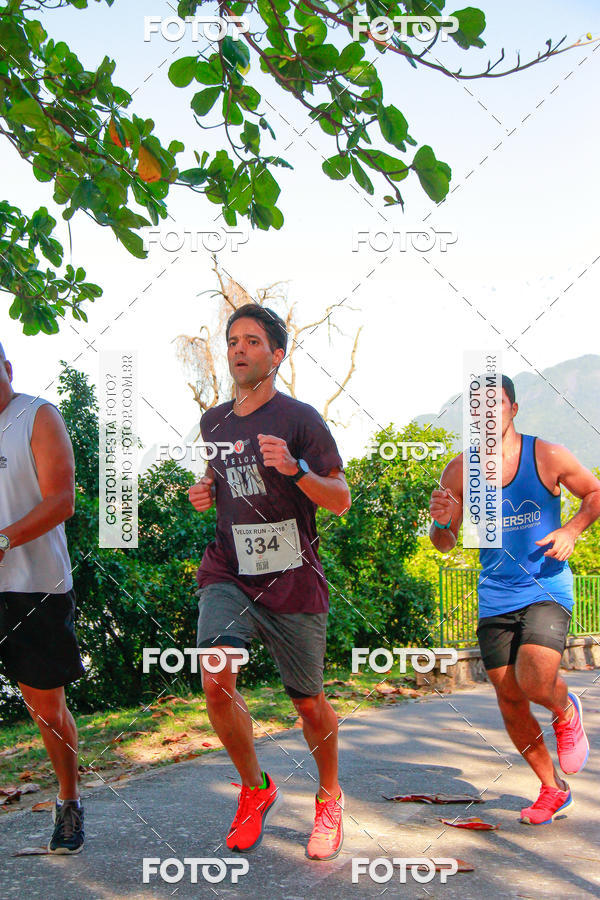 Buy your photos of the eventVelox Run on Fotop