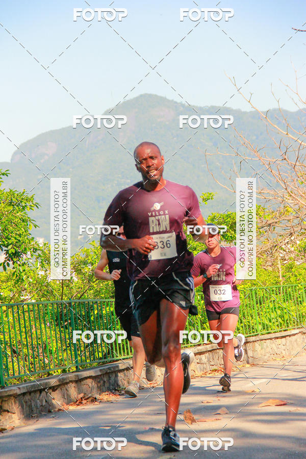 Buy your photos of the eventVelox Run on Fotop