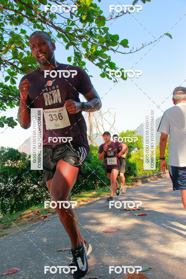 Buy your photos of the eventVelox Run on Fotop