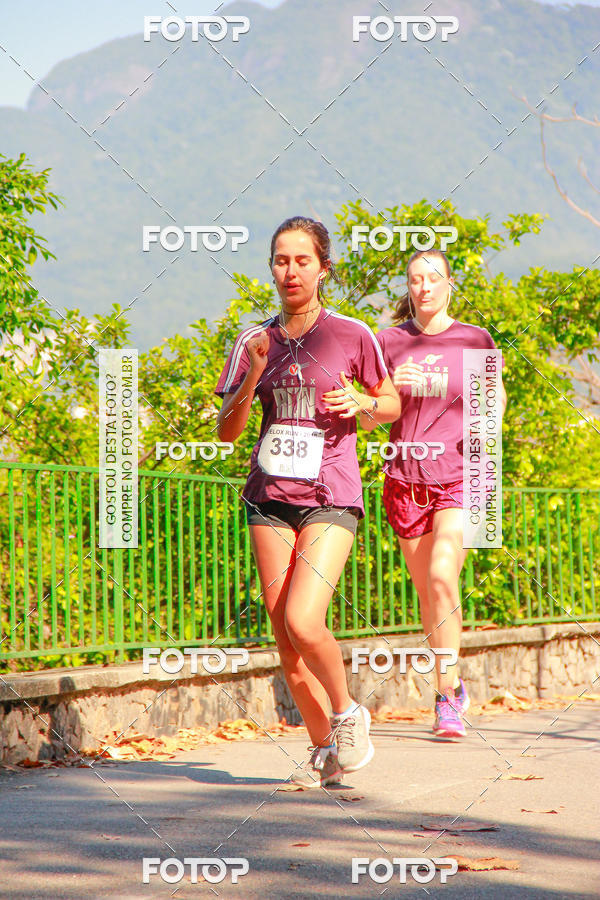 Buy your photos of the eventVelox Run on Fotop