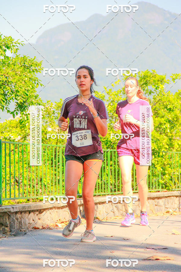 Buy your photos of the eventVelox Run on Fotop