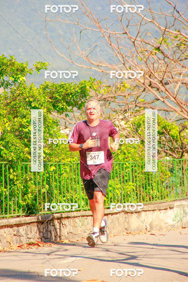 Buy your photos of the eventVelox Run on Fotop