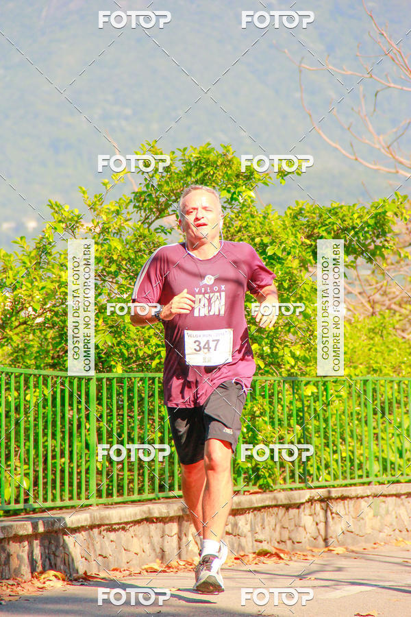 Buy your photos of the eventVelox Run on Fotop