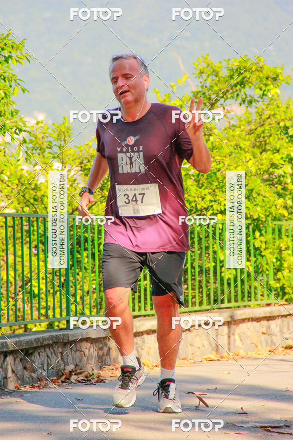 Buy your photos of the eventVelox Run on Fotop