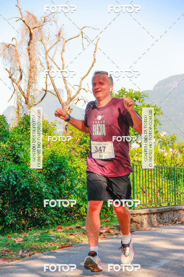 Buy your photos of the eventVelox Run on Fotop