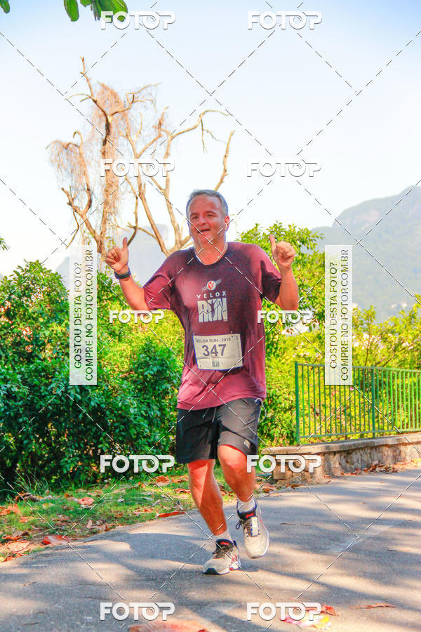Buy your photos of the eventVelox Run on Fotop