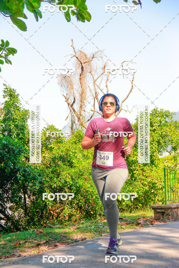 Buy your photos of the eventVelox Run on Fotop