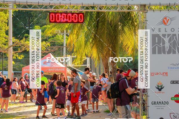 Buy your photos of the eventVelox Run on Fotop