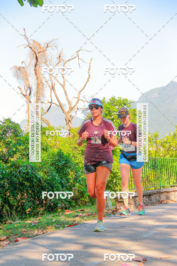 Buy your photos of the eventVelox Run on Fotop