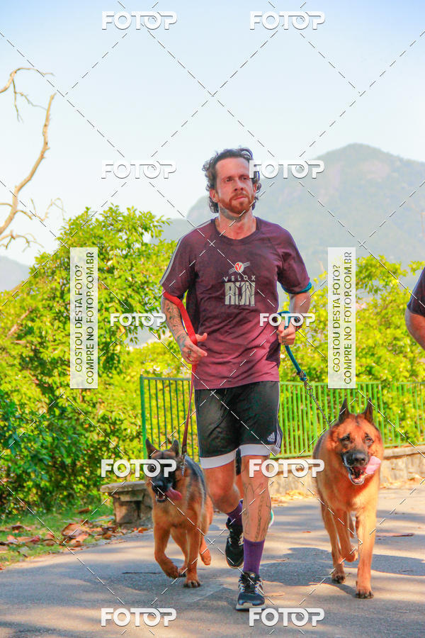 Buy your photos of the eventVelox Run on Fotop