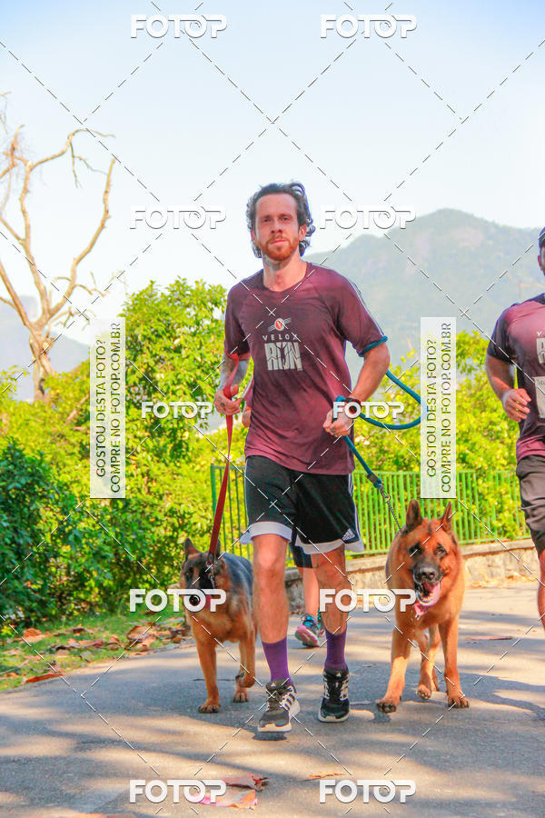 Buy your photos of the eventVelox Run on Fotop