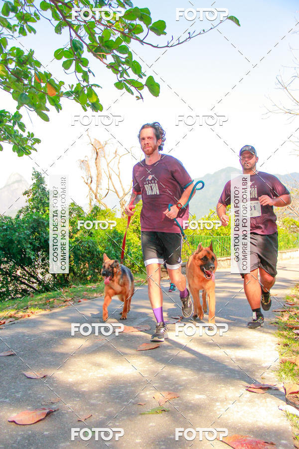 Buy your photos of the eventVelox Run on Fotop